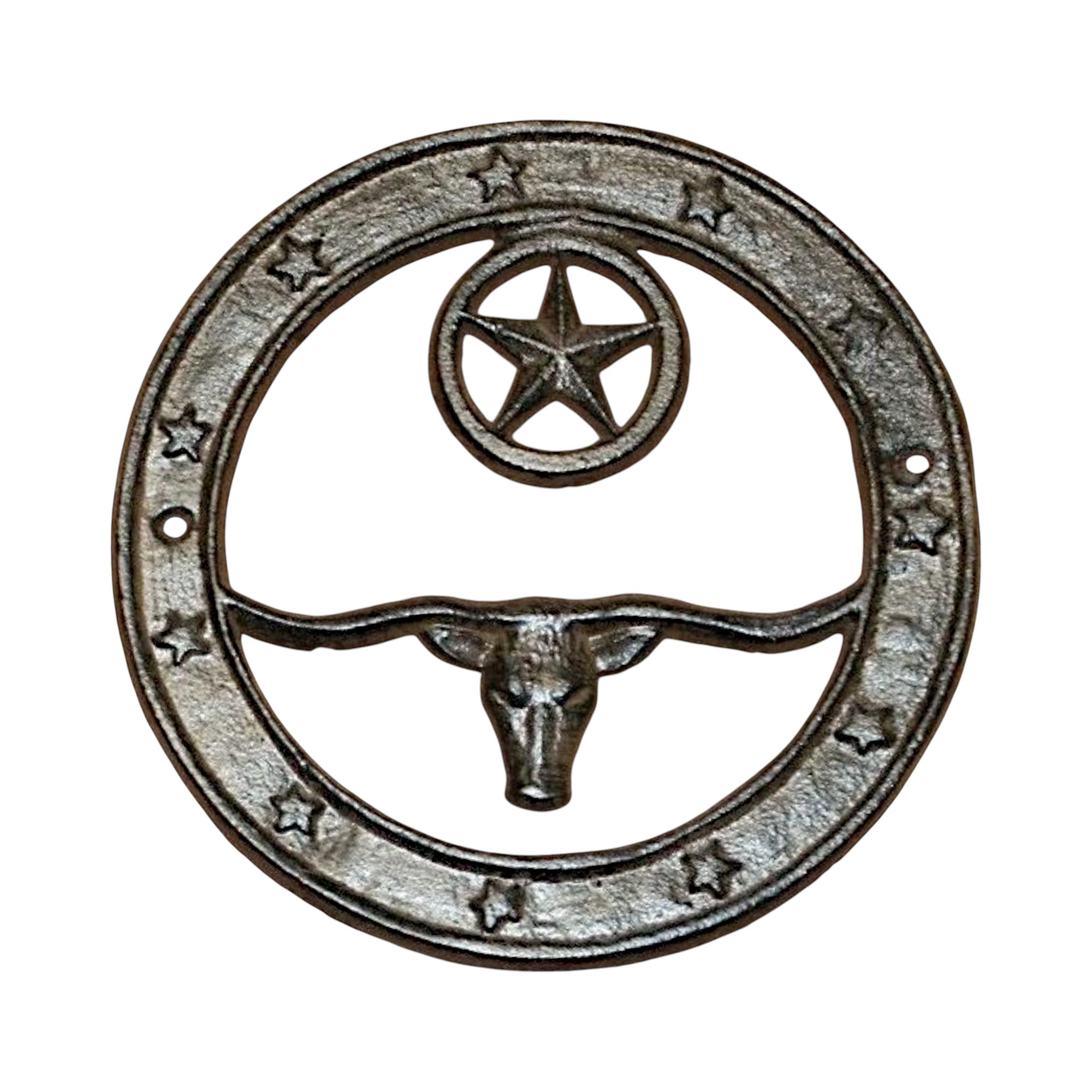 Cast Iron Longhorn and Star Plaque, Western Wall Decor for Farmhouse Cabin
