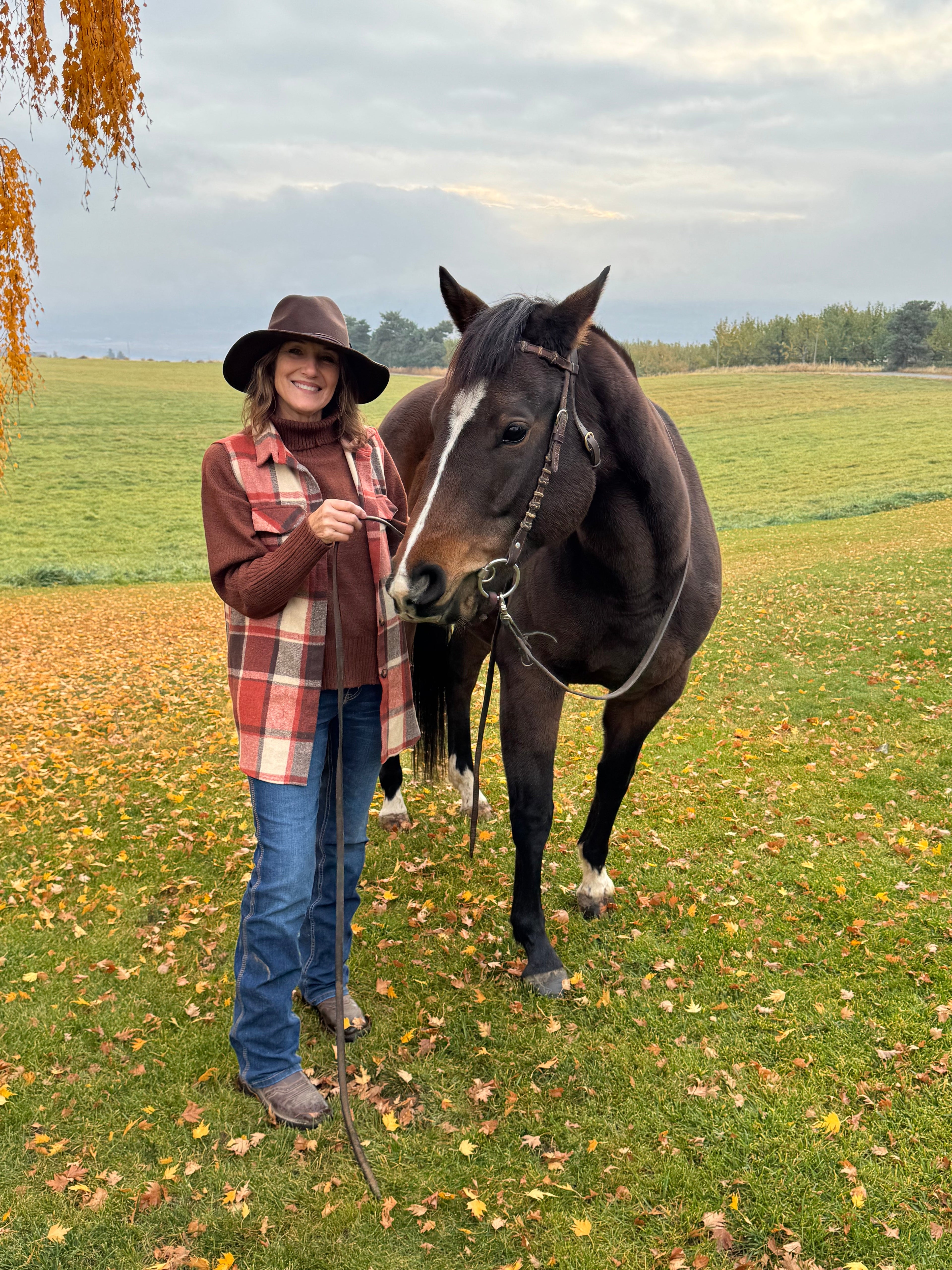 Plaid Button Up Vest Coat